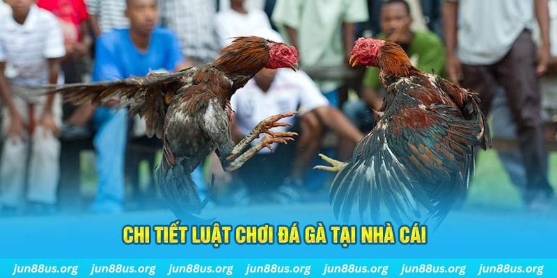 da ga88 đăng nhập sòng bạc uy tín