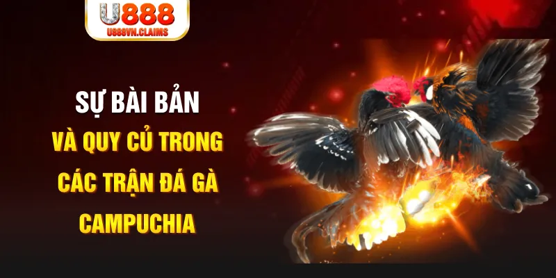 da ga88 baccarat lừa đảo như thế nào