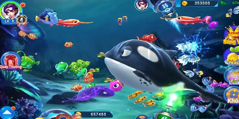 da ga88 truc tiep da ga