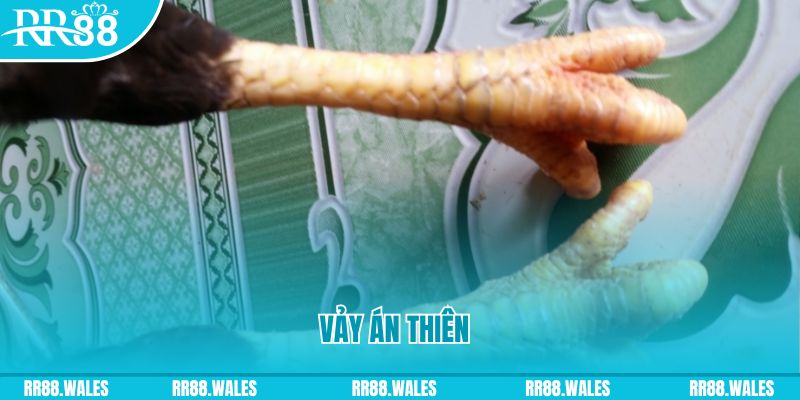 da ga88 who wants to be a millionaire slot